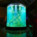 中國定制廉價超大圓pmma玻璃水族箱透明圓筒亞克力魚缸