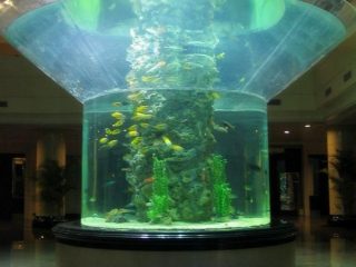 pmma玻璃水族箱半圓柱有機玻璃魚缸