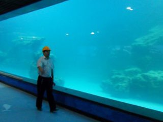 鑄造牆紫外線丙烯酸面板為水族館，海洋水族館