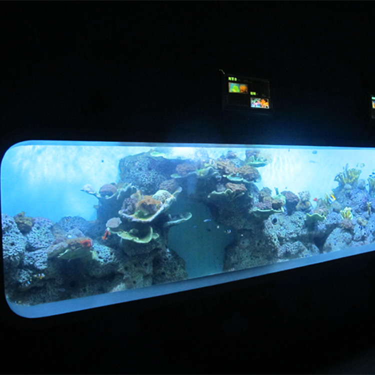 人造鑄造丙烯酸圓柱透明魚水族館/觀察窗