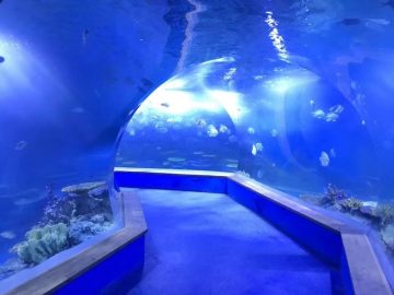 清除pmma丙烯酸大型塑料隧道的水族館