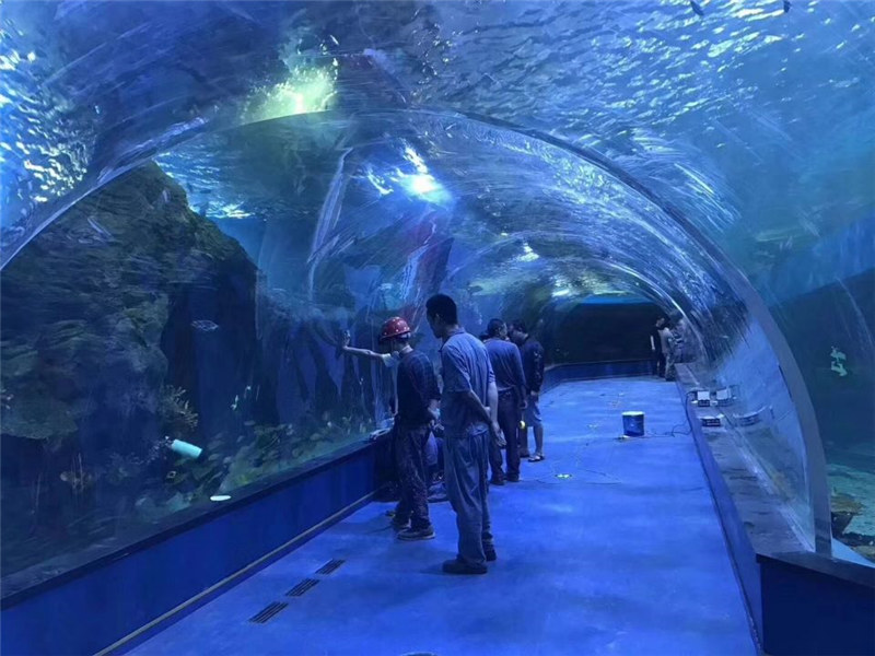定制有機玻璃丙烯酸隧道水族館